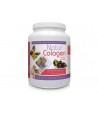 NaturColagen 300 gr