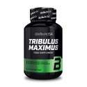 Tribulus Maximus 90cap