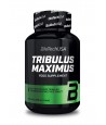 Tribulus Maximus 90cap