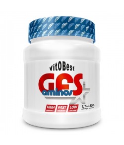 GFS Amino 500 gr