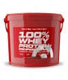 100% Whey Protein Professional 5 kg