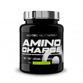 Amino Charge 570 gr