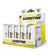 Thermocarnitine  20x60ml