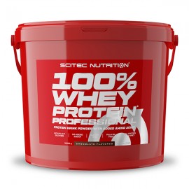 100% Whey Protein Professional 4kg