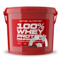 100% Whey Protein Professional 4kg